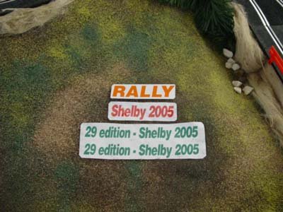 29º Rally Shelby  (julho)